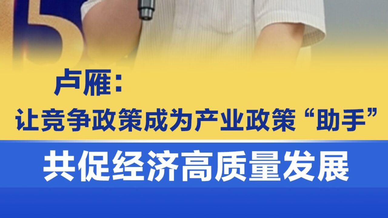 卢雁:竞争政策与产业政策并不矛盾,共同促进经济高质量发展