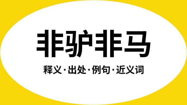 “非驴非马”是什么意思?