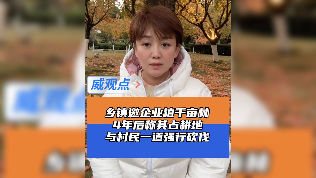 乡政府邀企业建千亩生态林,4年后称其违法进行砍伐