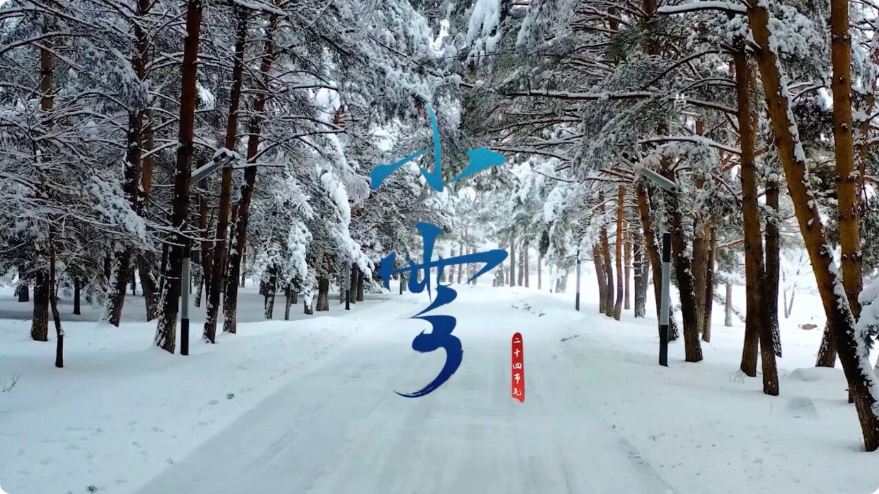 诗意节气 | 小雪