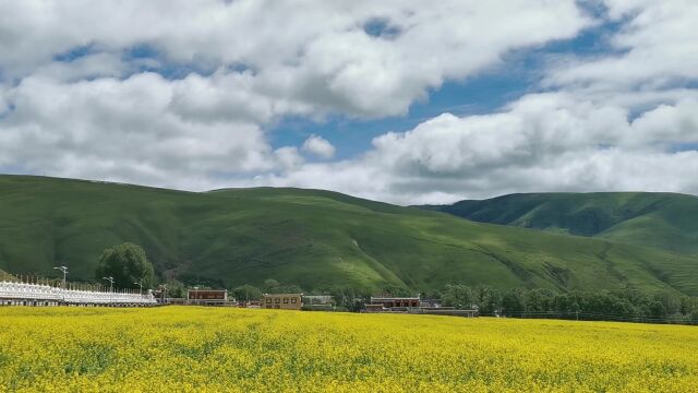 行走川西 之高山草原