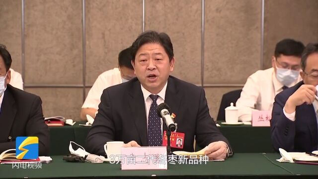 聚焦山东省第十二次党代会 袁志勇:提升冬枣质效 依托特色农业优势助力乡村振兴