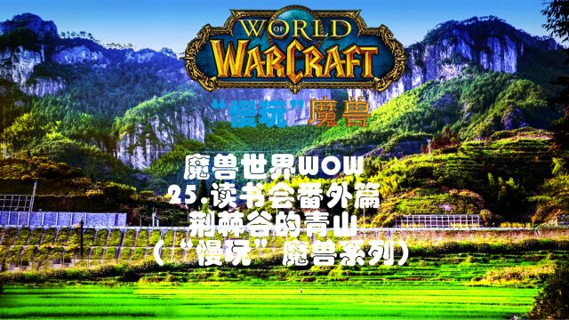 魔兽世界WOW25.读书会番外篇荆棘谷的青山(“慢玩”魔兽系列)