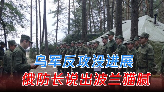 乌军反攻没进展,俄防长说出波兰猫腻:挺乌是假,夺乌领土才是真