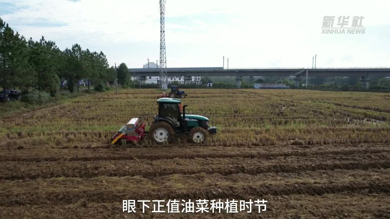 江西吉水:种肥同播技术巧 冬种油菜农户忙