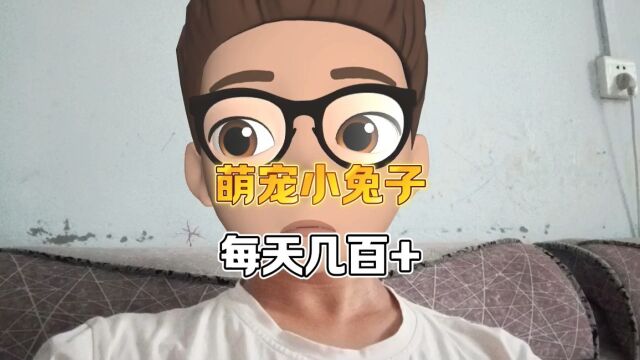 萌宠小兔子引流小朋友,每天几百+