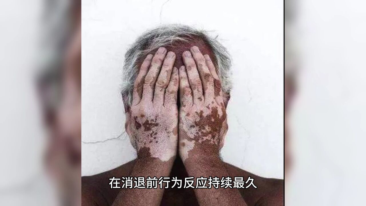 口袋心理学小课堂——斯金纳的行为主义和实验