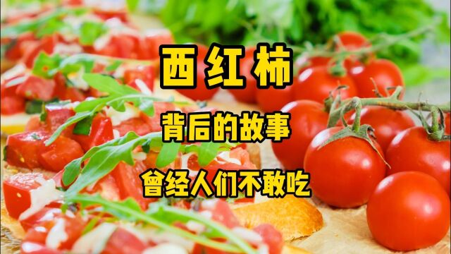 美蔬佳果西红柿背后的故事:你知道吗?在很多年以前人们不敢吃它