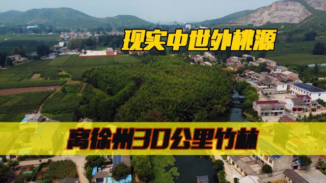 徐州西南30公里,藏在皖北小山村里的竹海,探萧县孟村