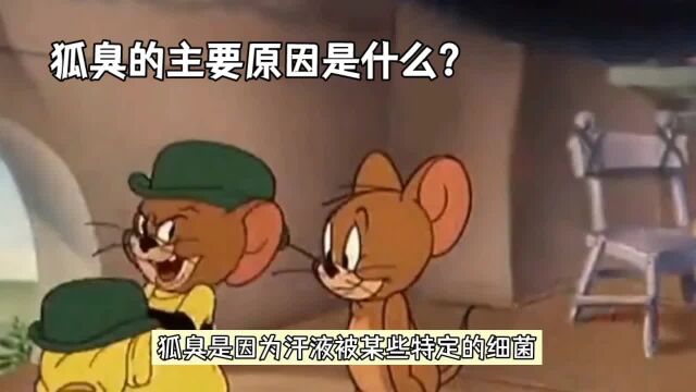 狐臭的主要原因是什么?破解狐臭成因的生活之谜!