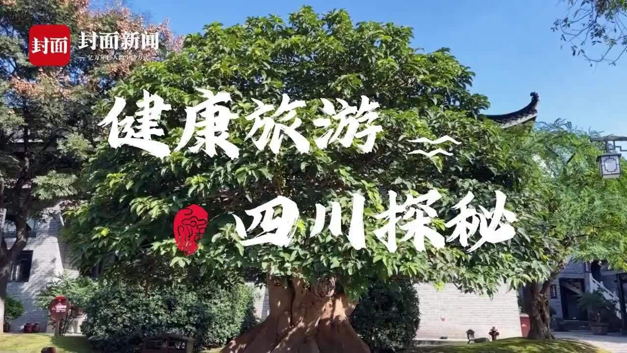 健康旅游 四川探秘 | 保宁醋文化博览园(下)