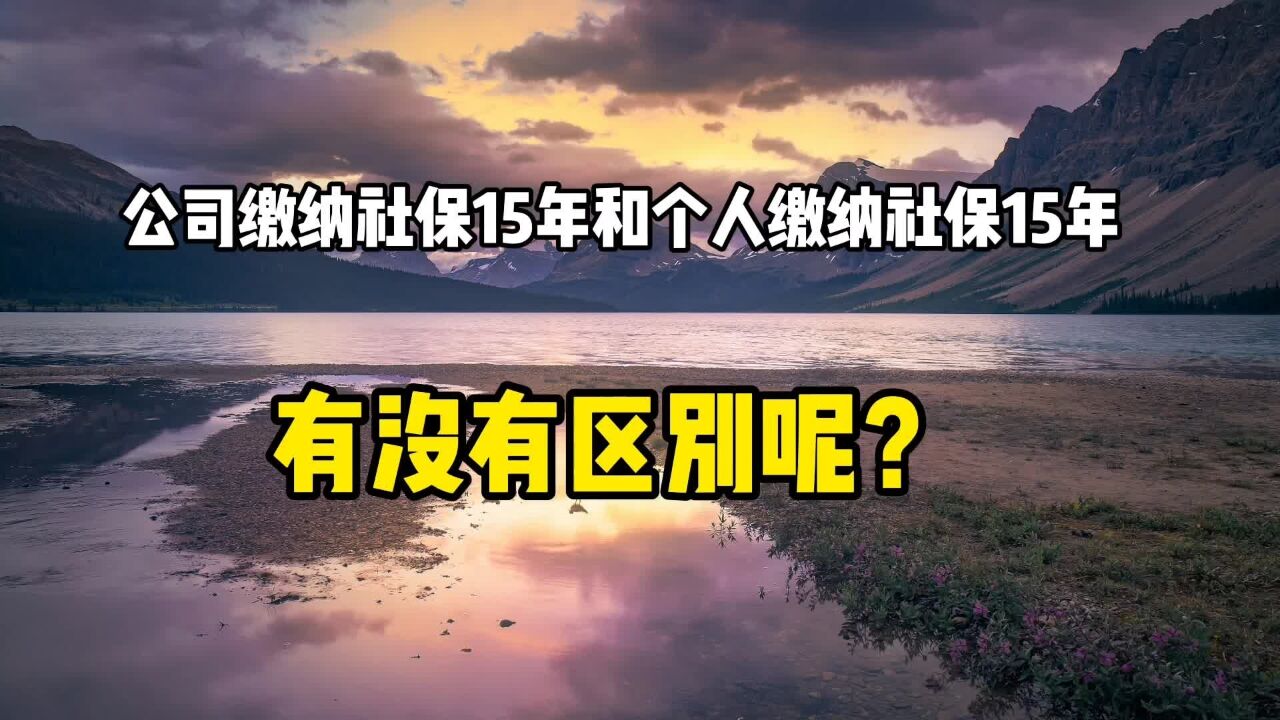 公司缴纳社保15年和个人缴纳社保15年,有区别吗?