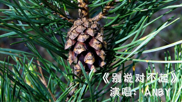 经典老歌分享:Anby《别说对不起》完整版