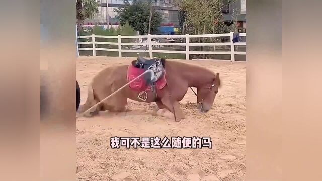 美女骚操作,那就别怪我不讲武德了