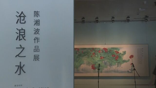 “沧浪之水——陈湘波作品展”北京开展 多位艺术家出席开幕式