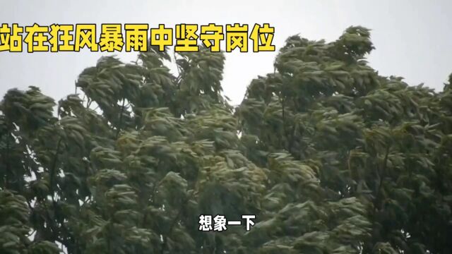 在台风第一线记者带来最新消息