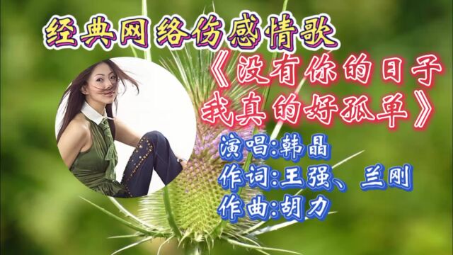 怀旧经典歌曲《没有你的日子我真的好孤单》韩晶深情演唱,婉转走心歌词,幽伤旋律令人回忆满满!