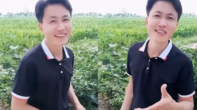 千万粉丝网红“秀才”一夜塌房:疑似与合作伙伴闹掰,曾被举报欺诈51万