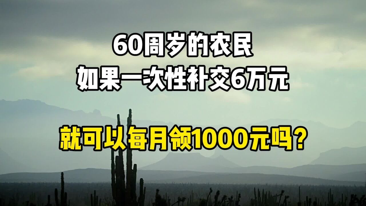 60周岁的农民,如果一次性补交6万元,就可以每月领1000元吗?