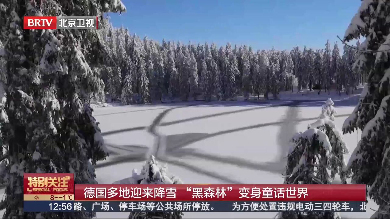 德国多地迎来降雪 “黑森林”变身童话世界