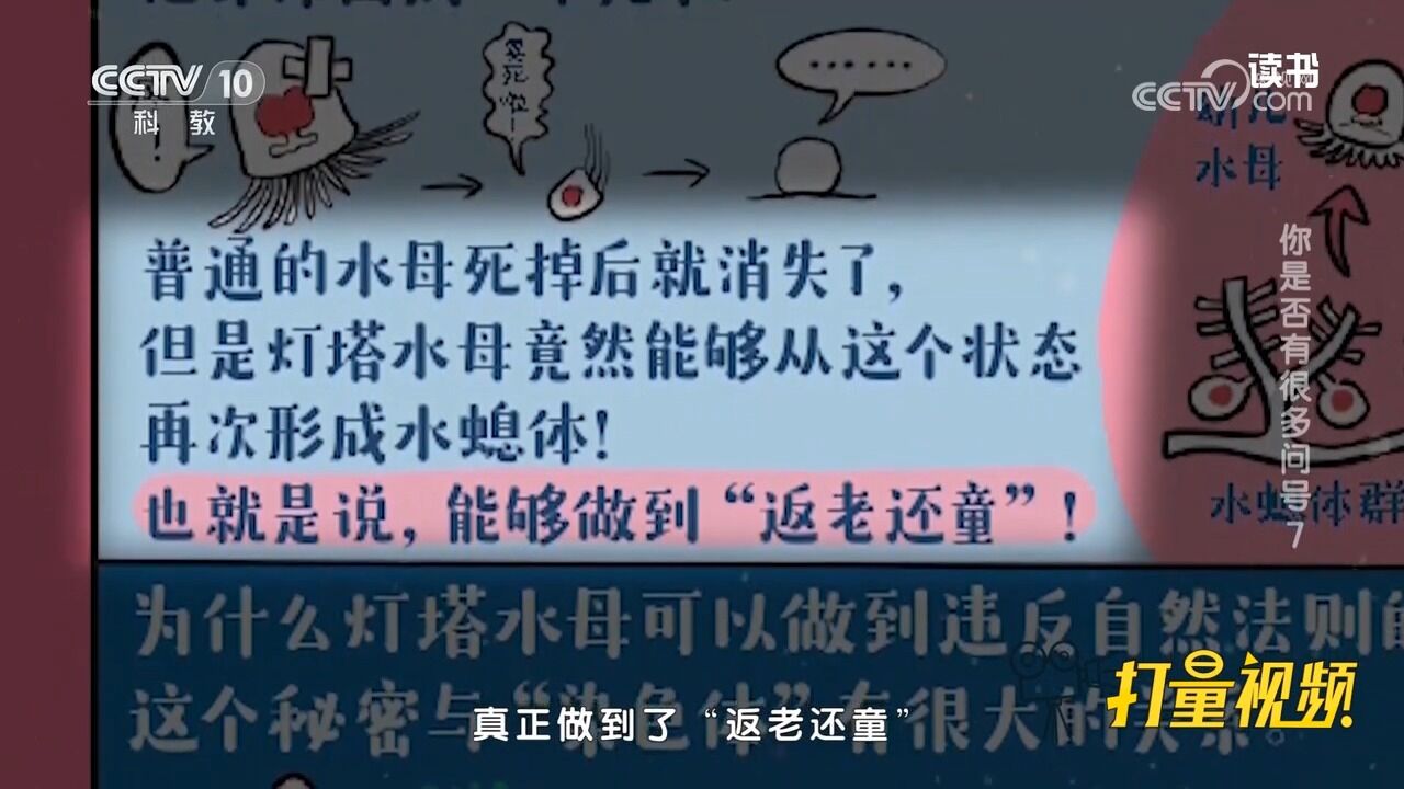 《奇怪的生物图鉴》里的动物冷知识“幽默而奇葩”,让人欲罢不能