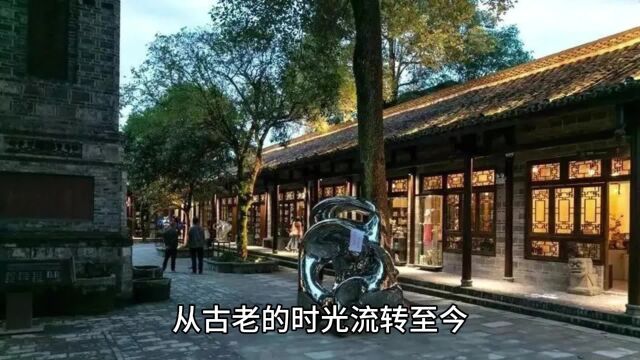 桑葚原浆,天赐的宝物,探索它的功效与作用