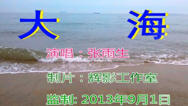 张雨生大海MV制作 纪念2013年厦门黄厝海滨那些日子