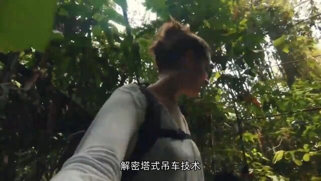 解密塔式吊车技术:定制化方案开启新高度