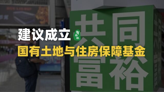 建议成立国有土地与住房保障基金