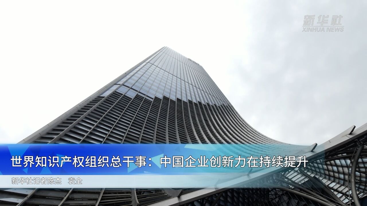 新华全媒+ | 世界知识产权组织总干事:中国企业创新力在持续提升