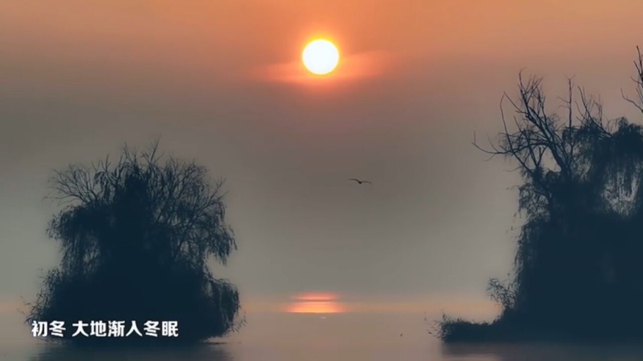 云南昆明市晋宁滇池湿地晨曦美景如水墨画卷 云雾缭绕静谧湖面水天一景宛如置身人间仙境