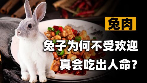 最不受欢迎的家畜是兔子？出了四川没人吃，不好吃还是别的原因？