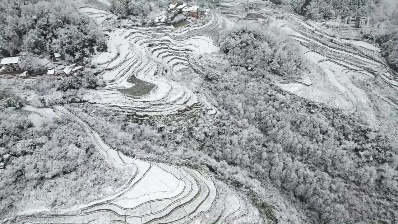 天地一片苍茫!贵州大娄山区雪景如一幅水墨画