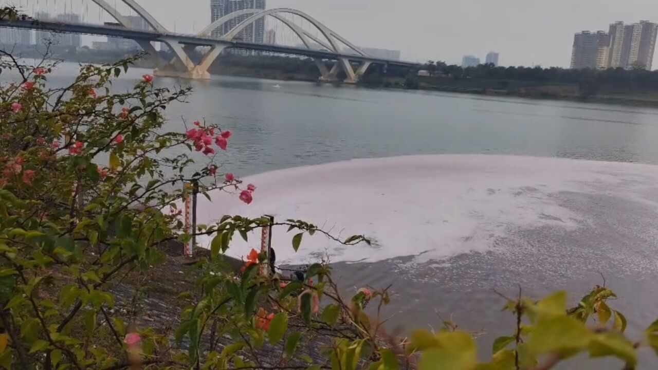 官方回应南宁邕江水域疑似被污染:因下雨底泥被翻起