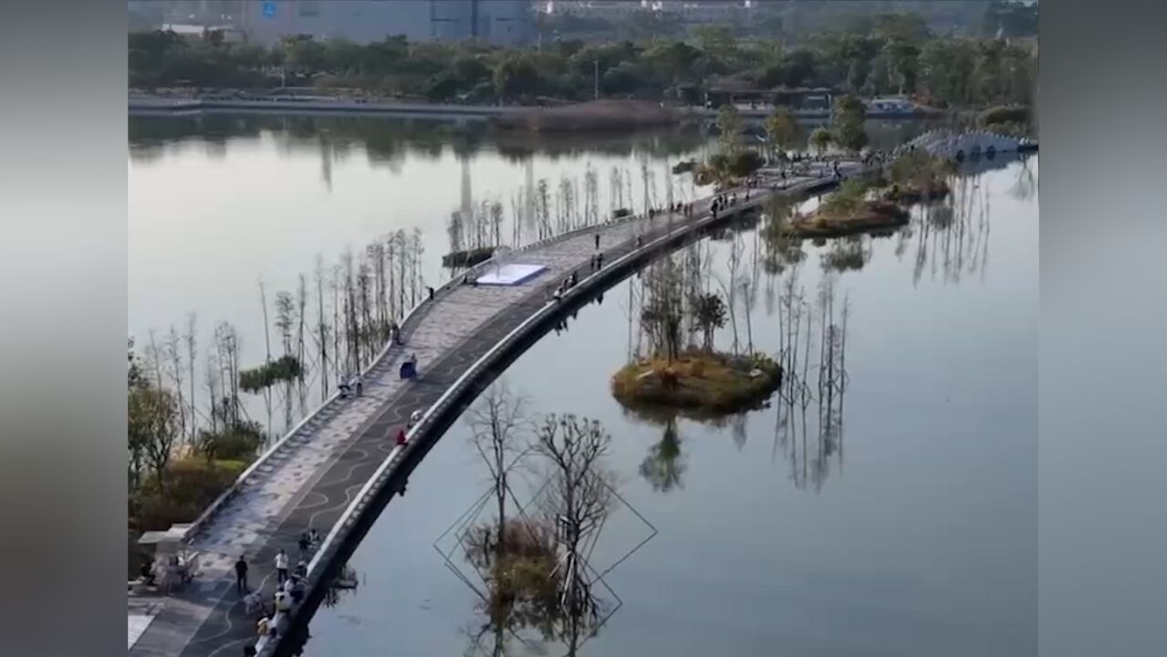 广东广州:荔湖持续改造,生态美景提高生活品质