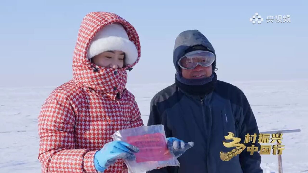 乡村振兴中国行|成为捕鱼达人的绝佳机会!快来查干湖冬捕体验吧