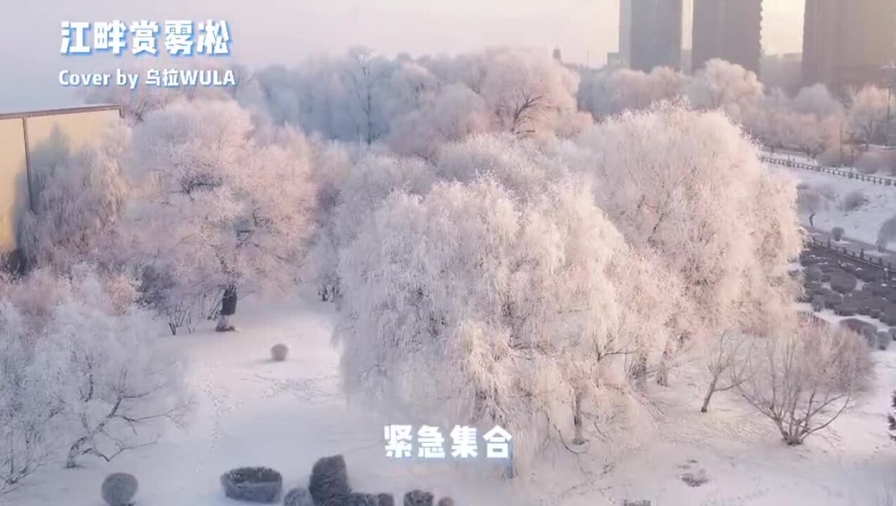 吉林市“乌拉WULA”演唱组合《江畔赏雾凇》