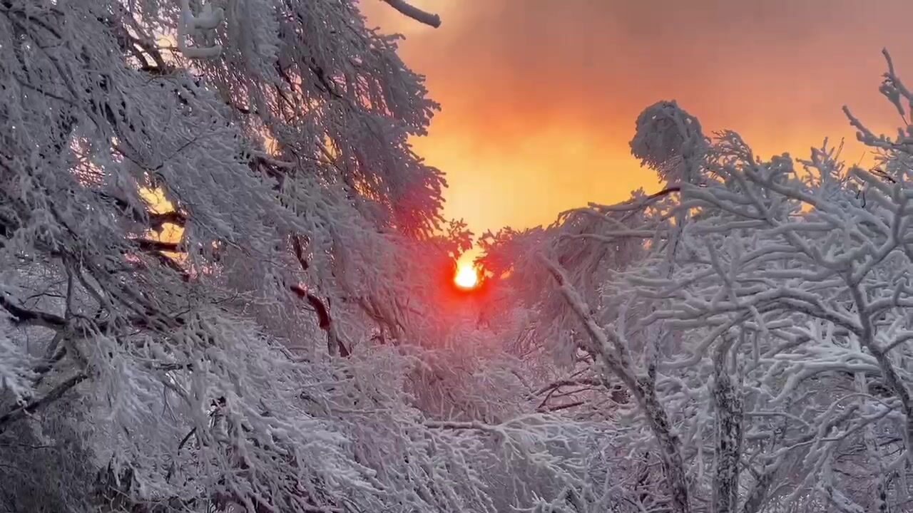 视频丨永州双牌:到阳明山,邂逅一场雾凇与雪的冬日浪漫