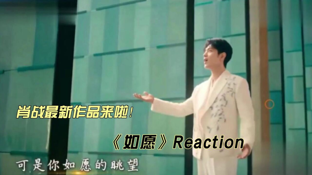 肖战最新作品《如愿》reaction