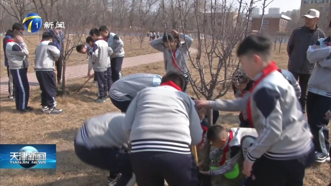 植树节 红桥区举行“我和小树做朋友”活动