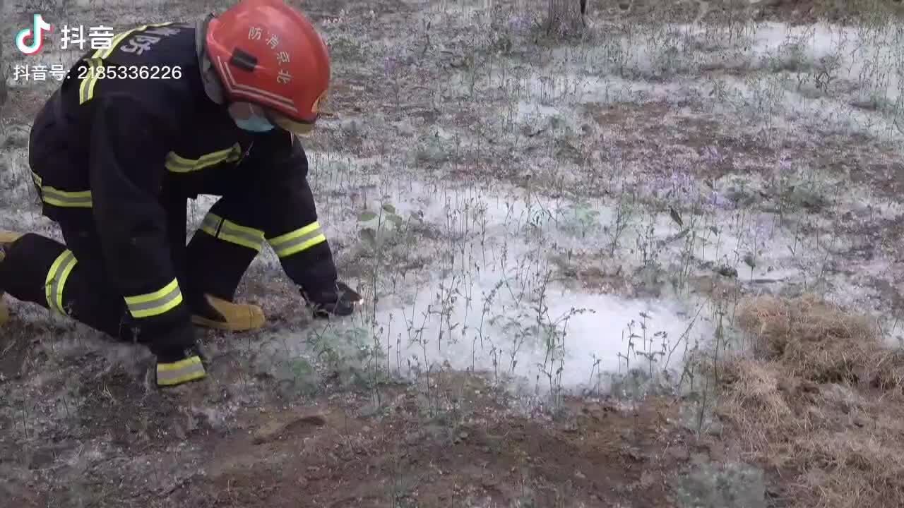 杨柳絮燃烧速度有多快?专业实验告诉您