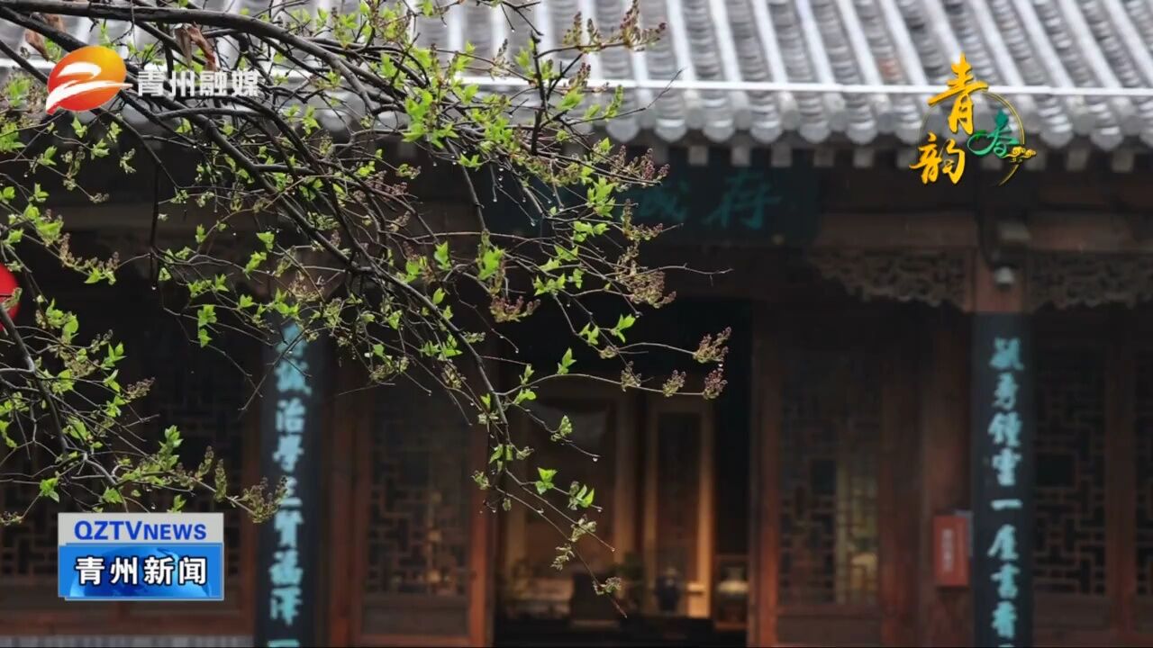 潍坊青州:春雨如诗画 偶园赏春光