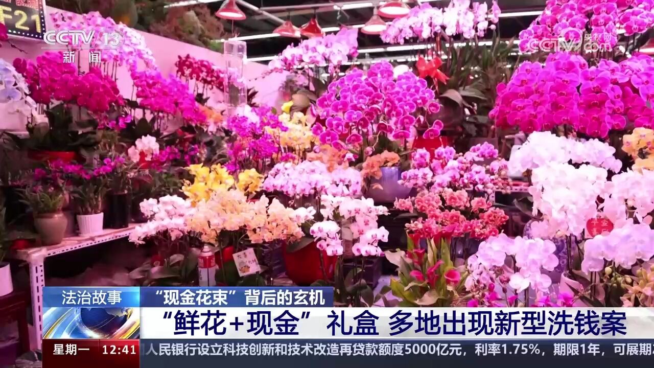 神秘顾客重金定制“现金花束”?多名花店店主喜接大订单后卷入洗钱犯罪