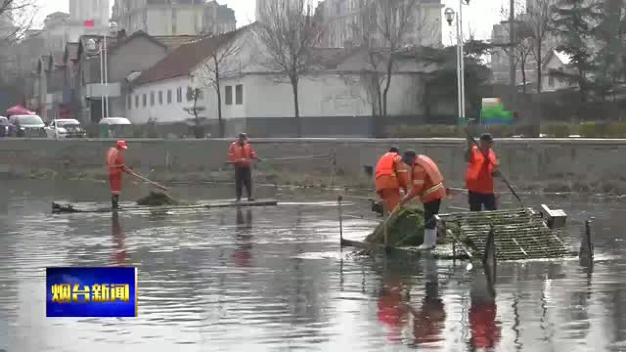 莱州:清捞水草 改善水环境