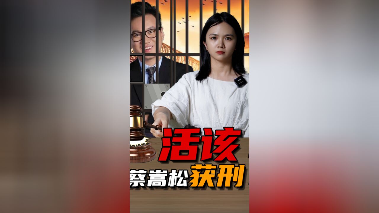 明星基金经理蔡嵩松获刑,发生了什么?