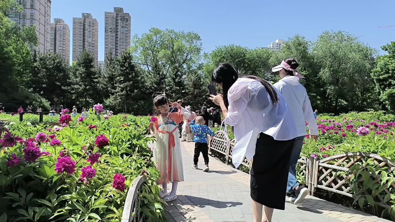 【花样太原ⷩ‡见美好】五月花神赴约迎泽