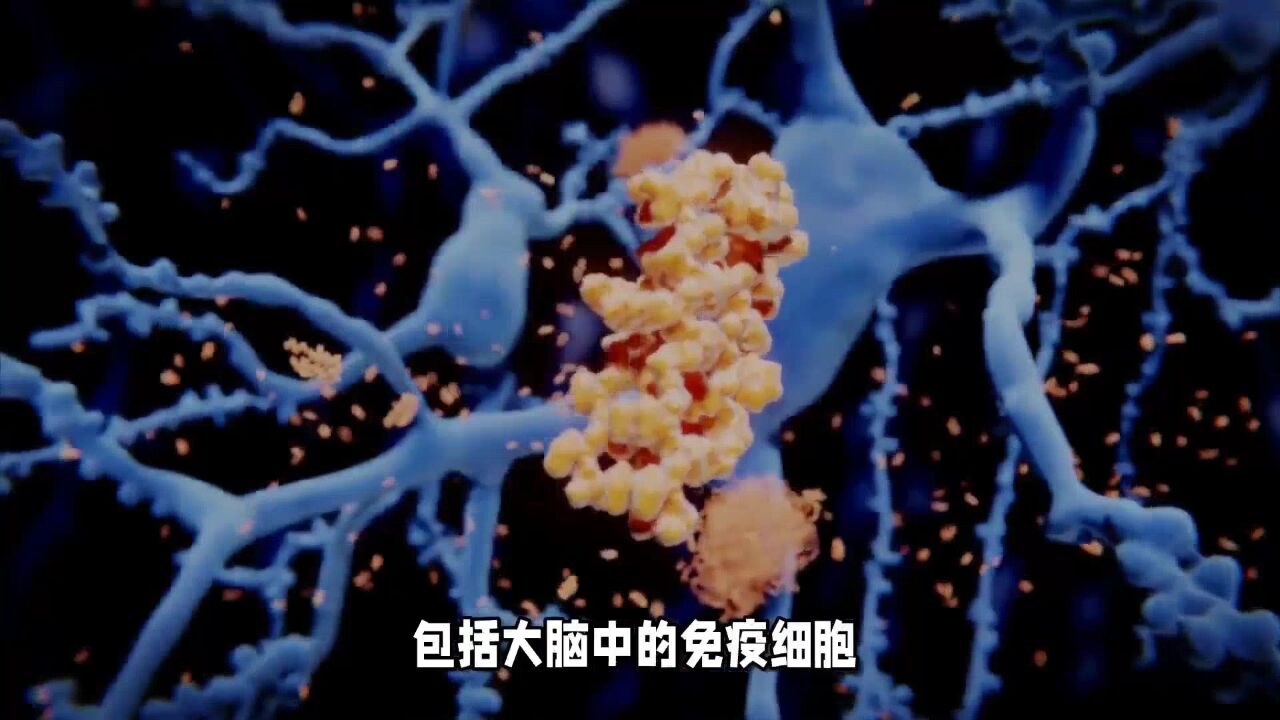 《科学》杂志揭示抗生素影响肠道菌群,加速大脑病变