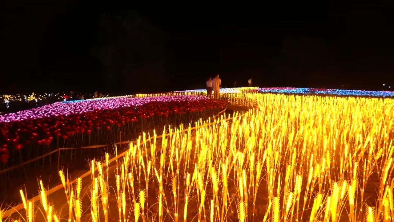 杭州桐庐:花海浪漫灯光秀点亮“夏夜经济”