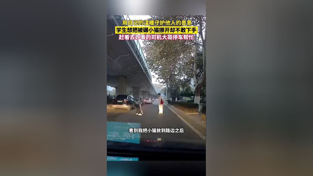 学生想把被碾小猫挪开却不敢下手,赶着去办事的司机大哥停车帮忙