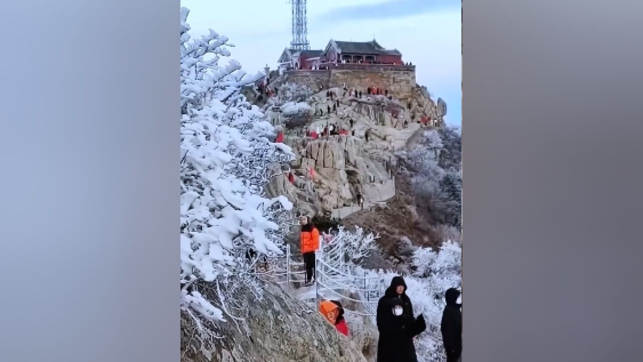 冬日盛景!泰山雾凇上线玉树琼枝美似仙境